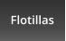 Flotillas